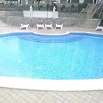 Royal Palm