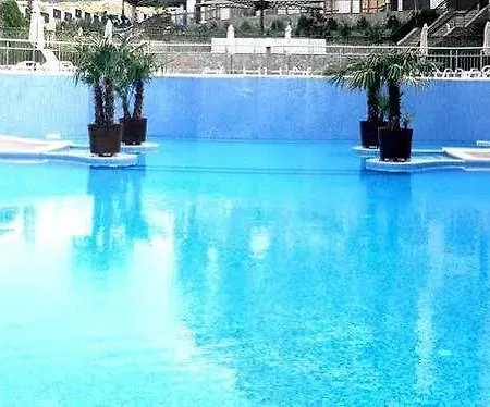 Royal Palm 2*
